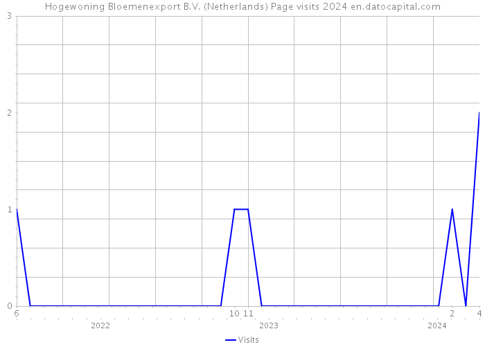 Hogewoning Bloemenexport B.V. (Netherlands) Page visits 2024 