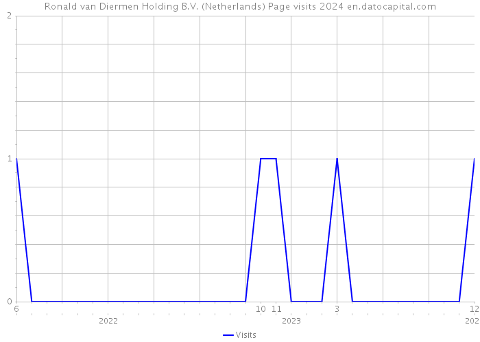 Ronald van Diermen Holding B.V. (Netherlands) Page visits 2024 