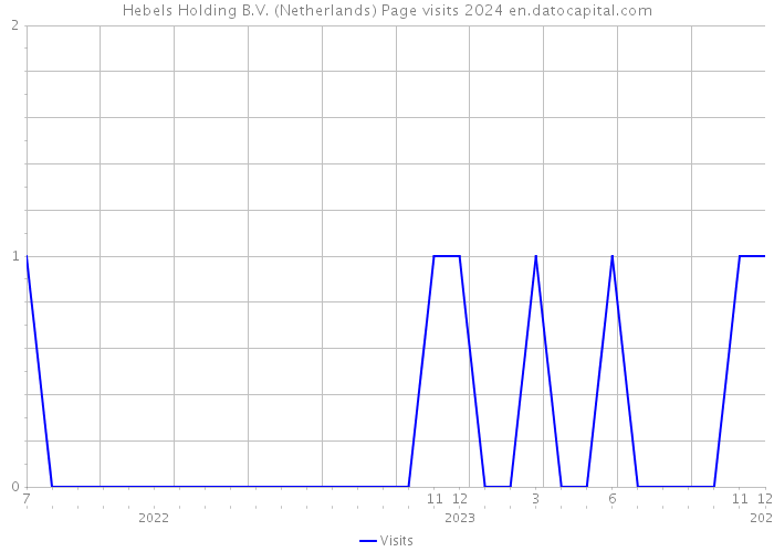 Hebels Holding B.V. (Netherlands) Page visits 2024 