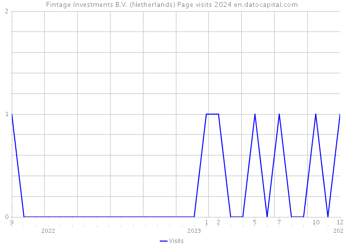 Fintage Investments B.V. (Netherlands) Page visits 2024 