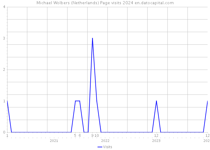 Michael Wolbers (Netherlands) Page visits 2024 
