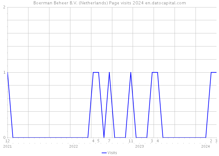 Boerman Beheer B.V. (Netherlands) Page visits 2024 