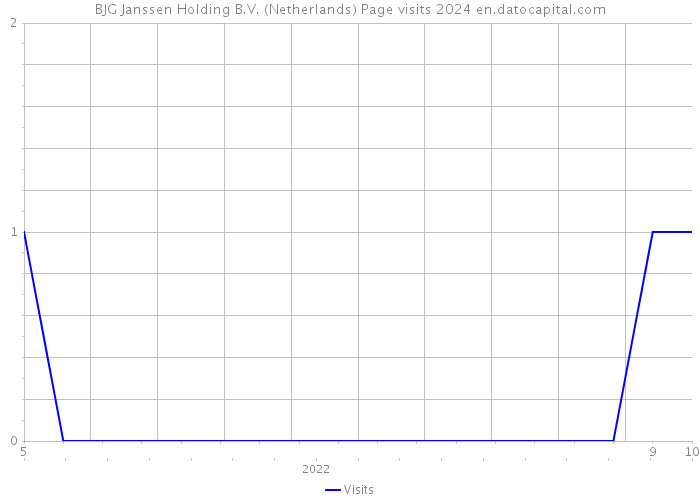 BJG Janssen Holding B.V. (Netherlands) Page visits 2024 