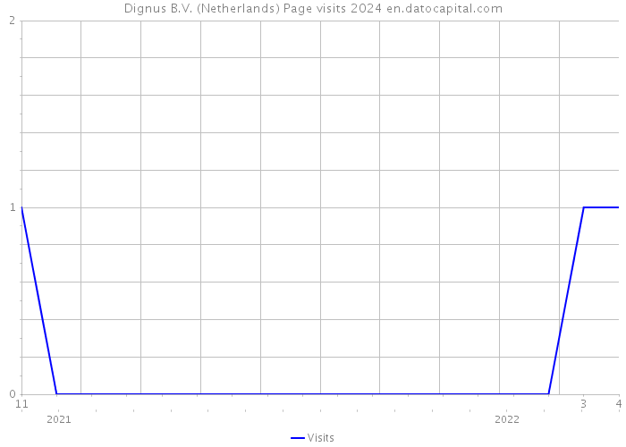 Dignus B.V. (Netherlands) Page visits 2024 