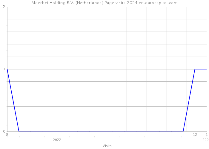 Moerbei Holding B.V. (Netherlands) Page visits 2024 