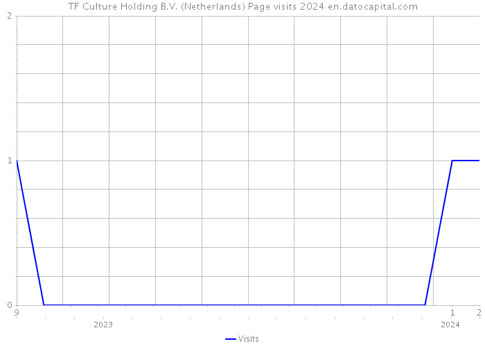 TF Culture Holding B.V. (Netherlands) Page visits 2024 