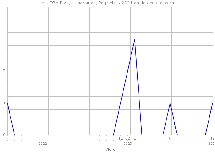 ALUDRA B.V. (Netherlands) Page visits 2024 