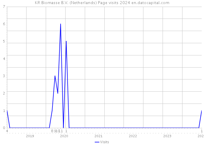 KR Biomasse B.V. (Netherlands) Page visits 2024 