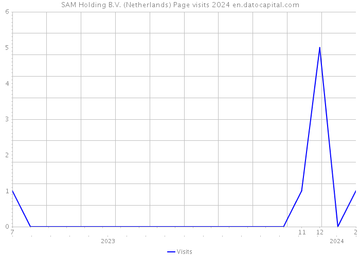 SAM Holding B.V. (Netherlands) Page visits 2024 