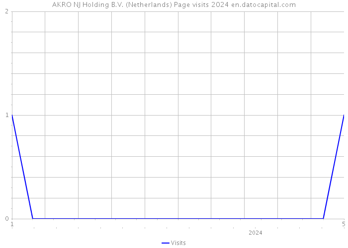 AKRO NJ Holding B.V. (Netherlands) Page visits 2024 
