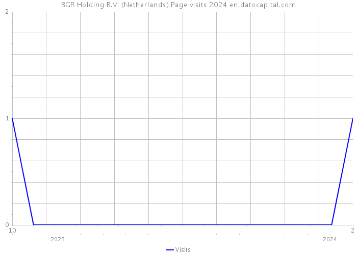 BGR Holding B.V. (Netherlands) Page visits 2024 