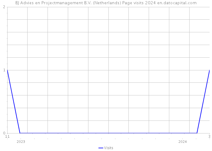 BJ Advies en Projectmanagement B.V. (Netherlands) Page visits 2024 