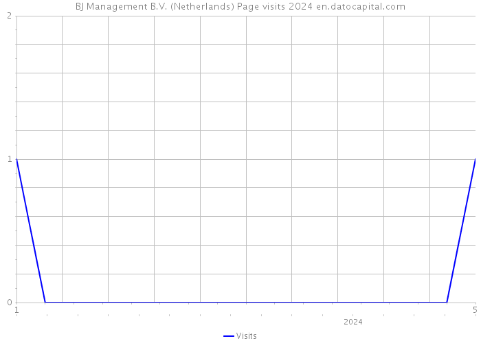 BJ Management B.V. (Netherlands) Page visits 2024 