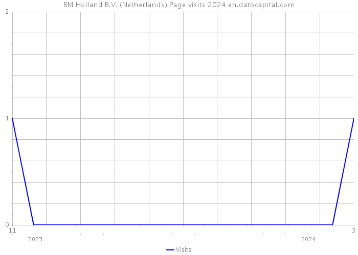BM Holland B.V. (Netherlands) Page visits 2024 
