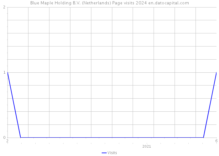 Blue Maple Holding B.V. (Netherlands) Page visits 2024 