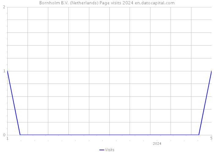 Bornholm B.V. (Netherlands) Page visits 2024 