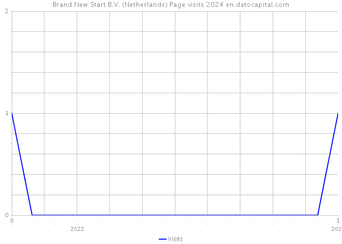 Brand New Start B.V. (Netherlands) Page visits 2024 