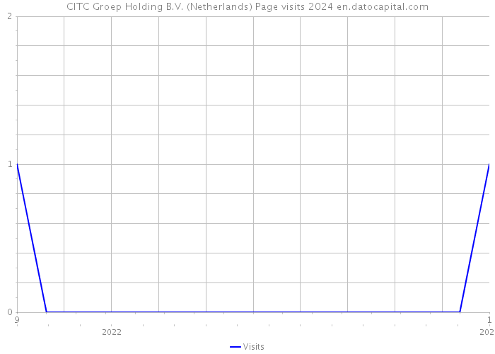 CITC Groep Holding B.V. (Netherlands) Page visits 2024 