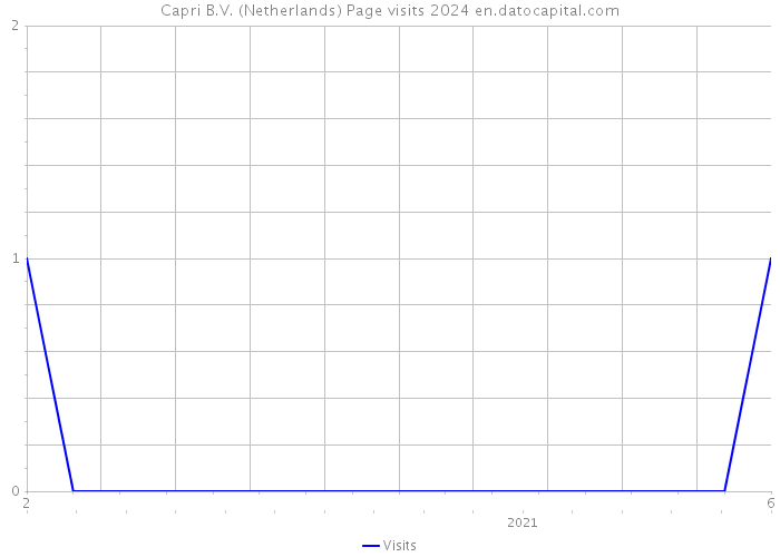 Capri B.V. (Netherlands) Page visits 2024 