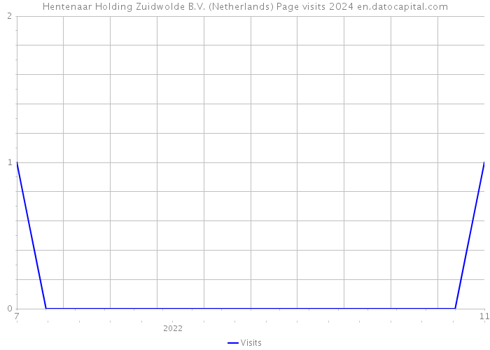 Hentenaar Holding Zuidwolde B.V. (Netherlands) Page visits 2024 