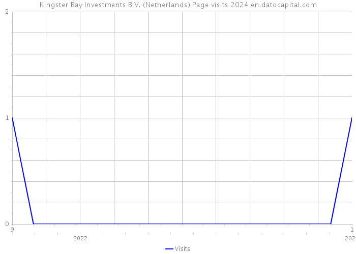Kingster Bay Investments B.V. (Netherlands) Page visits 2024 