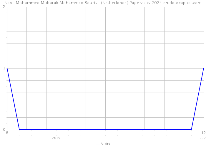 Nabil Mohammed Mubarak Mohammed Bourisli (Netherlands) Page visits 2024 