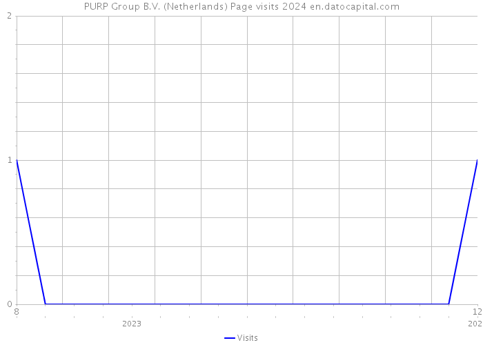 PURP Group B.V. (Netherlands) Page visits 2024 