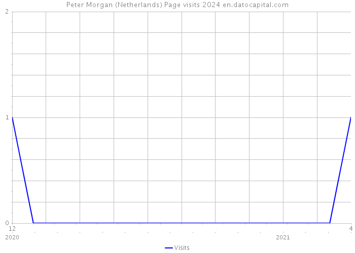Peter Morgan (Netherlands) Page visits 2024 