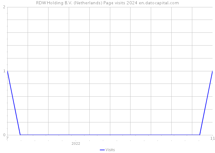 RDW Holding B.V. (Netherlands) Page visits 2024 