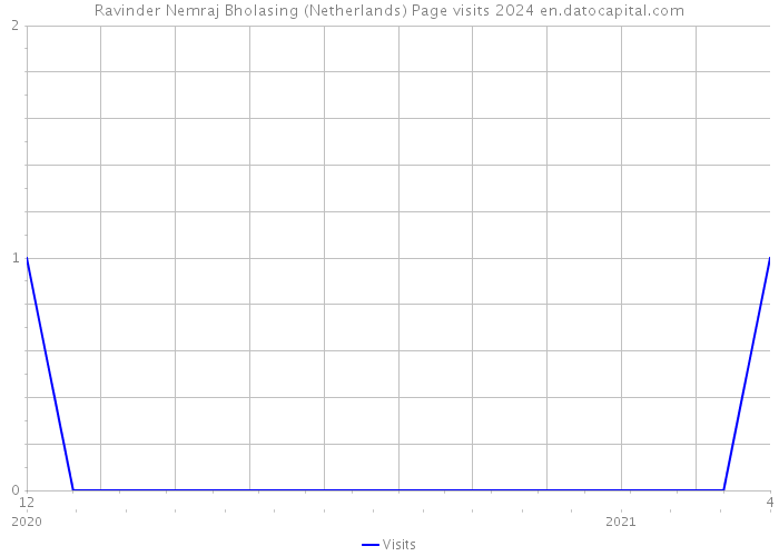 Ravinder Nemraj Bholasing (Netherlands) Page visits 2024 