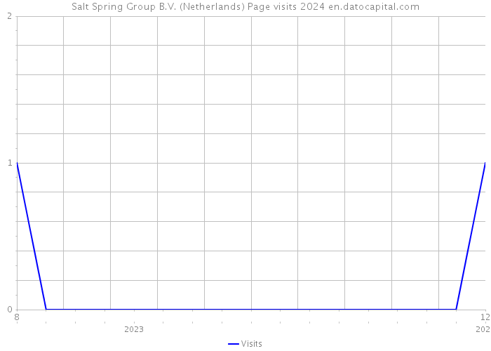 Salt Spring Group B.V. (Netherlands) Page visits 2024 