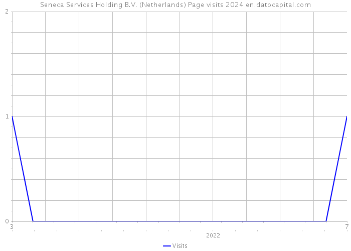 Seneca Services Holding B.V. (Netherlands) Page visits 2024 