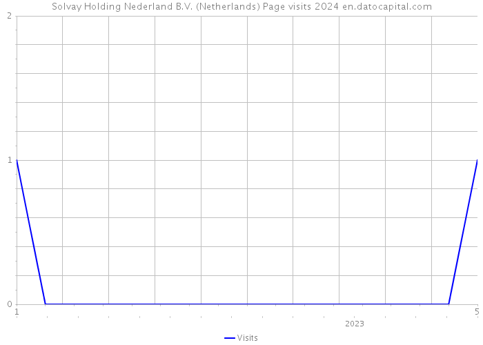 Solvay Holding Nederland B.V. (Netherlands) Page visits 2024 