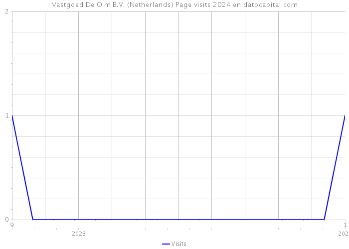 Vastgoed De Olm B.V. (Netherlands) Page visits 2024 