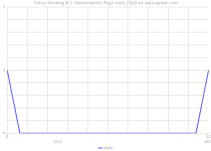 Yukon Holding B.V. (Netherlands) Page visits 2024 