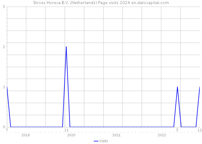 Stroes Horeca B.V. (Netherlands) Page visits 2024 