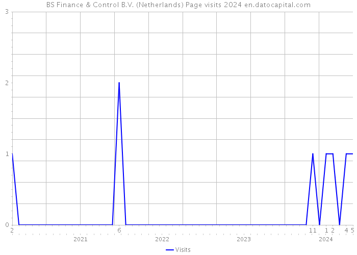 BS Finance & Control B.V. (Netherlands) Page visits 2024 