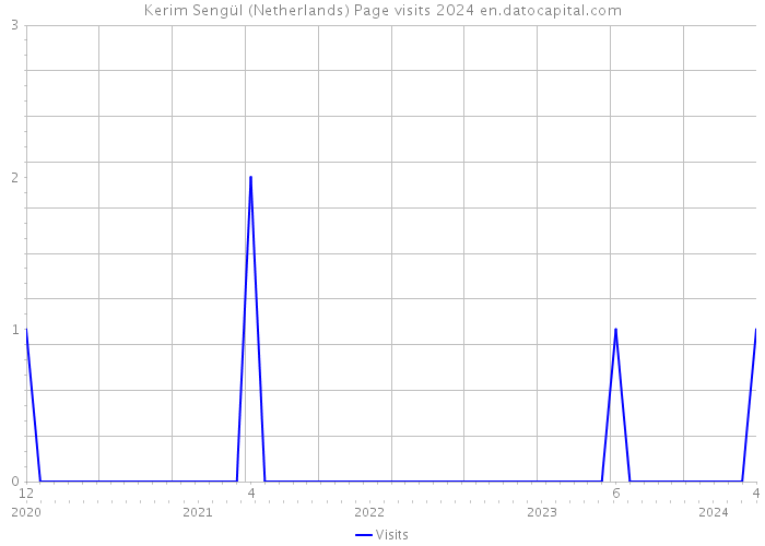 Kerim Sengül (Netherlands) Page visits 2024 