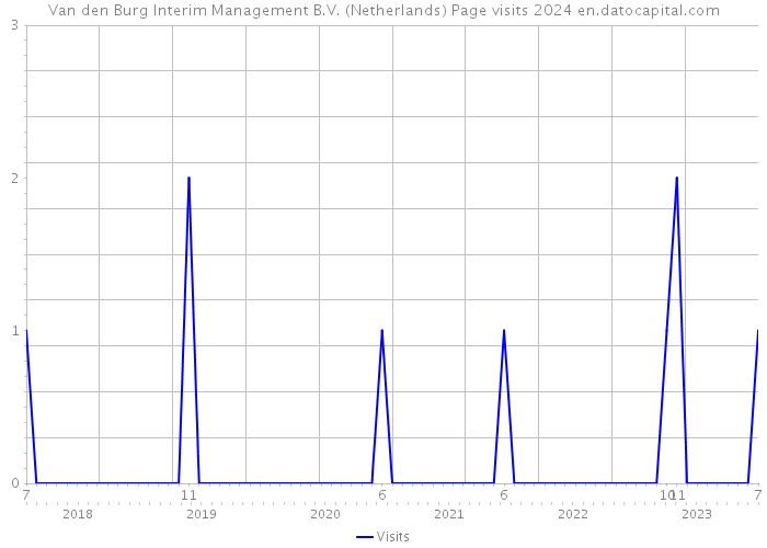 Van den Burg Interim Management B.V. (Netherlands) Page visits 2024 