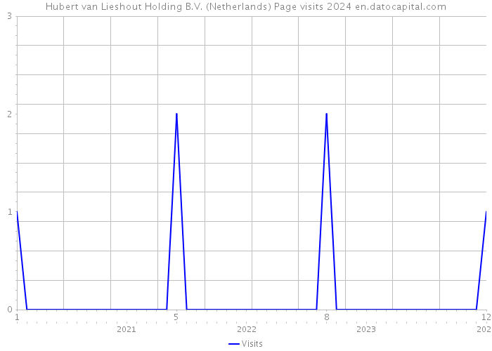 Hubert van Lieshout Holding B.V. (Netherlands) Page visits 2024 