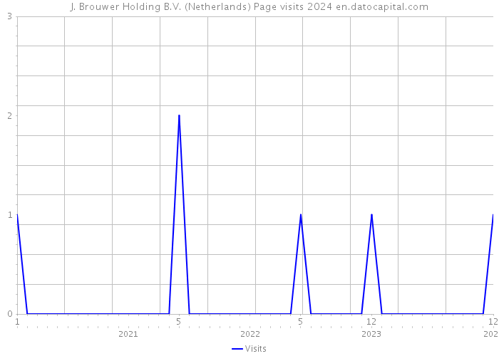 J. Brouwer Holding B.V. (Netherlands) Page visits 2024 