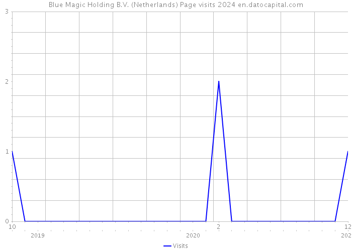 Blue Magic Holding B.V. (Netherlands) Page visits 2024 