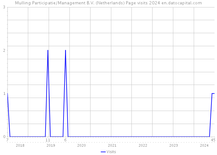 Mulling Participatie/Management B.V. (Netherlands) Page visits 2024 