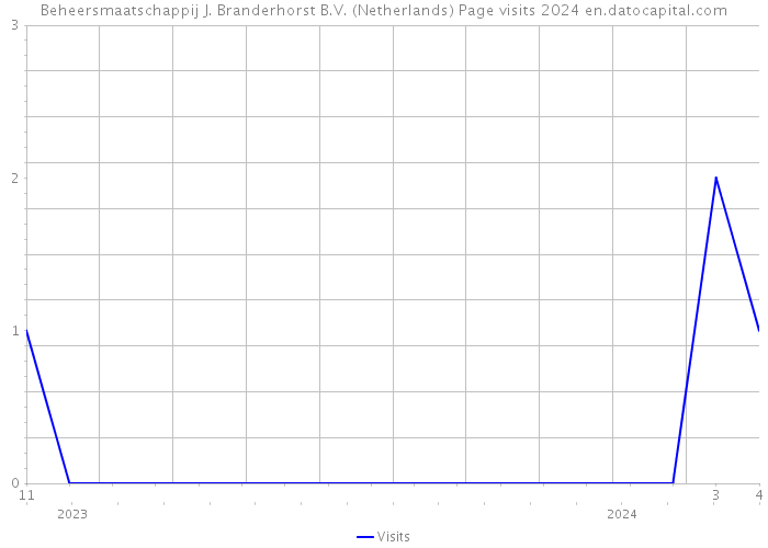Beheersmaatschappij J. Branderhorst B.V. (Netherlands) Page visits 2024 