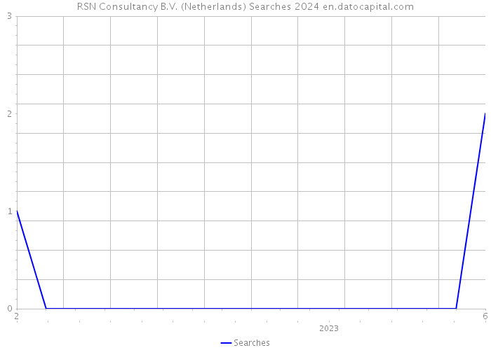 RSN Consultancy B.V. (Netherlands) Searches 2024 
