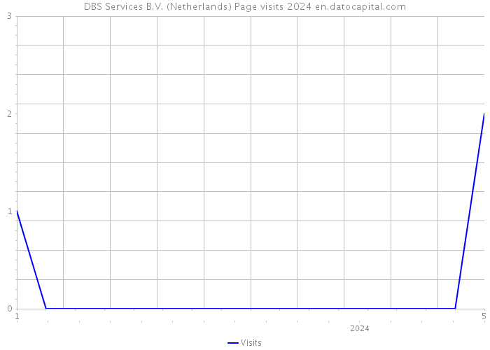 DBS Services B.V. (Netherlands) Page visits 2024 