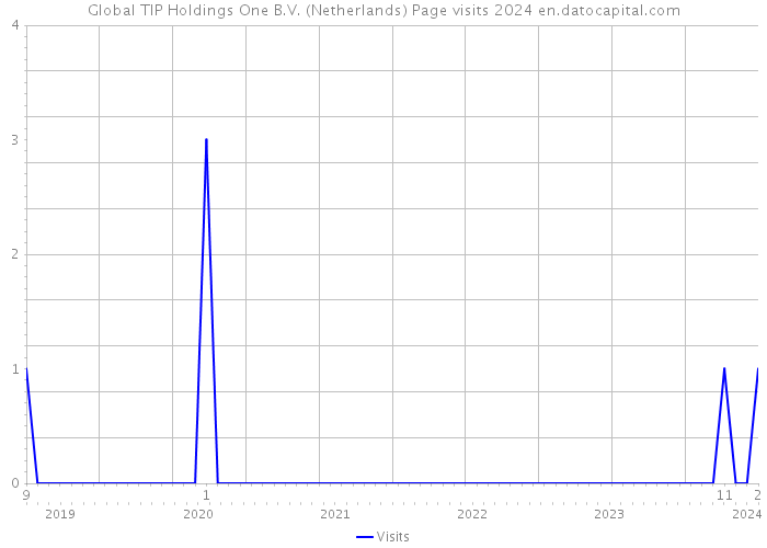 Global TIP Holdings One B.V. (Netherlands) Page visits 2024 