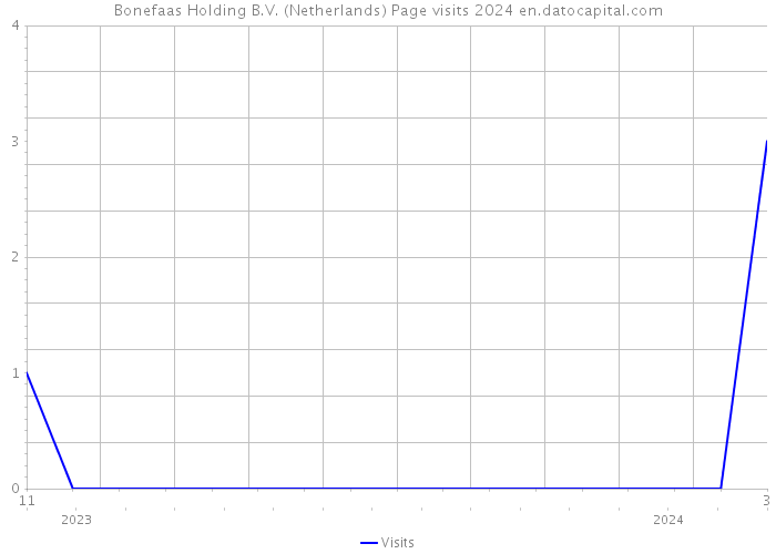 Bonefaas Holding B.V. (Netherlands) Page visits 2024 