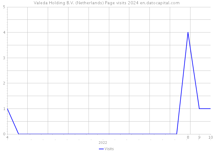Valeda Holding B.V. (Netherlands) Page visits 2024 