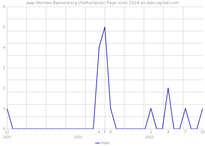 Jaap Herman Bannenberg (Netherlands) Page visits 2024 